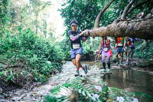 BIB: 
                            <button type="button" onclick="openModal(25446525)" class="btn btn-primary btn-sm float-right btn-popup" data-toggle="modal" data-target=".modal-high-quality">
                        <i class="fas fa-shopping-cart"></i> Add to Cart
                    </button>
                                            <button type="button" onclick="isThisMe(25446525, true)" class="btn btn-success btn-sm float-right btn-popup btn-isme hidden" data-toggle="tooltip" data-placement="bottom" title="นี่คือรูปของคุณใช่ไหม คลิกที่นี่เพื่อเอาเข้าอัลบั้ม">
                        <i class="fas fa-plus"></i> Add to album
                    </button>
                    <button type="button" onclick="isThisMe(25446525, false)" class="btn btn-warning btn-sm float-right btn-popup btn-isnotme hidden">
                        <i class="fas fa-ban"></i> Remove from album
                    </button>